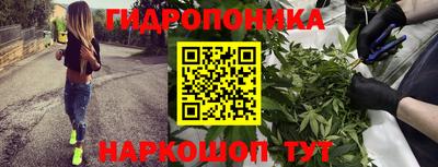 бошки Донецк