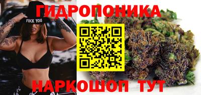бошки Донецк