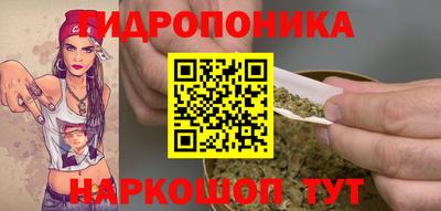 бошки Донецк
