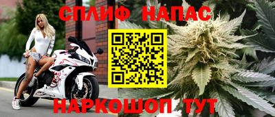 бошки Донецк