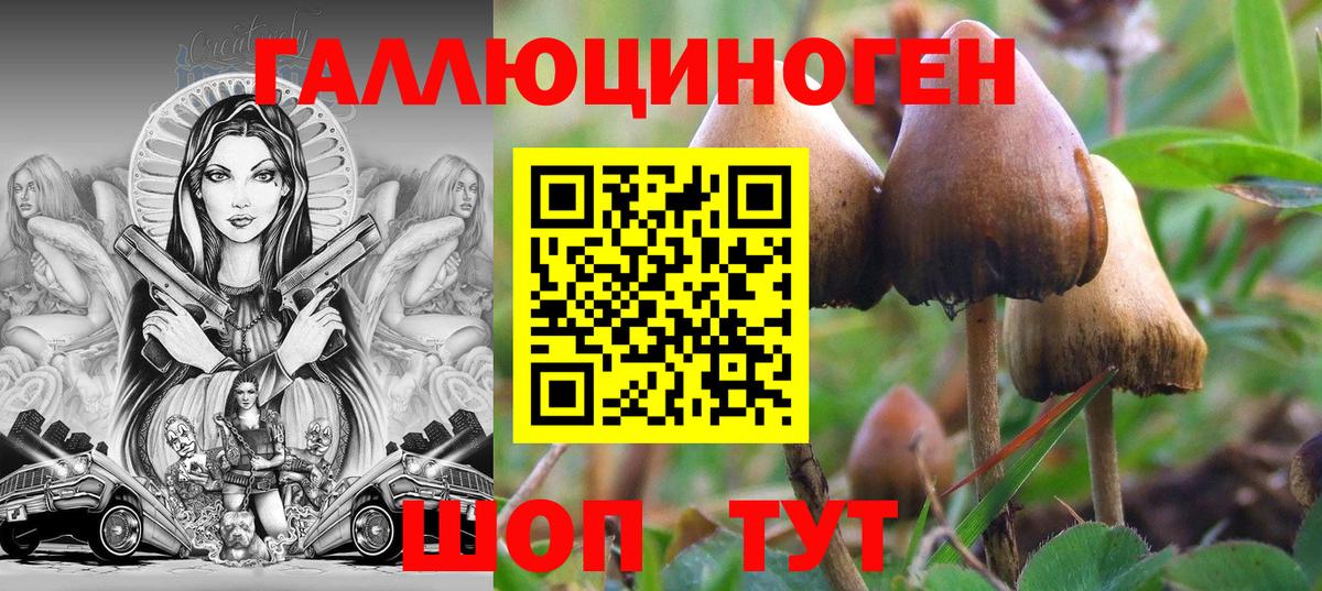 Галлюциногенные грибы GOLDEN TEACHER  дарнет шоп  Изобильный  Вход с VPN 